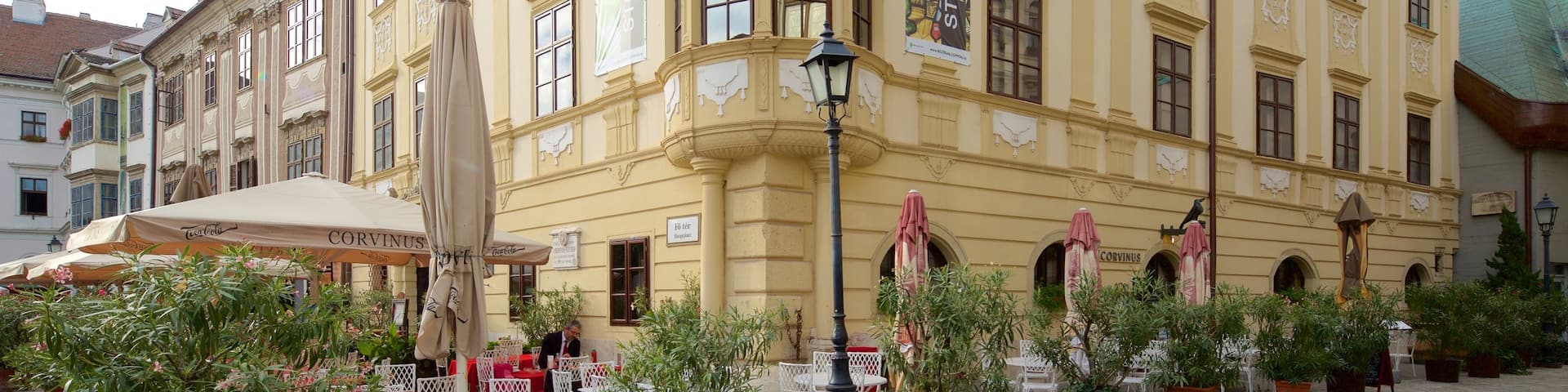 Sopron featuring heritage architecture and cafe lifestyle