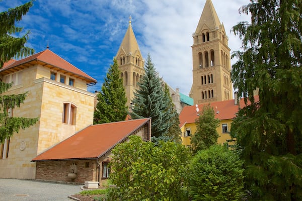 Pécs welches beinhaltet Burg und historische Architektur
