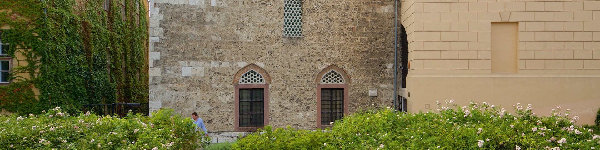 Pecs which includes a mosque