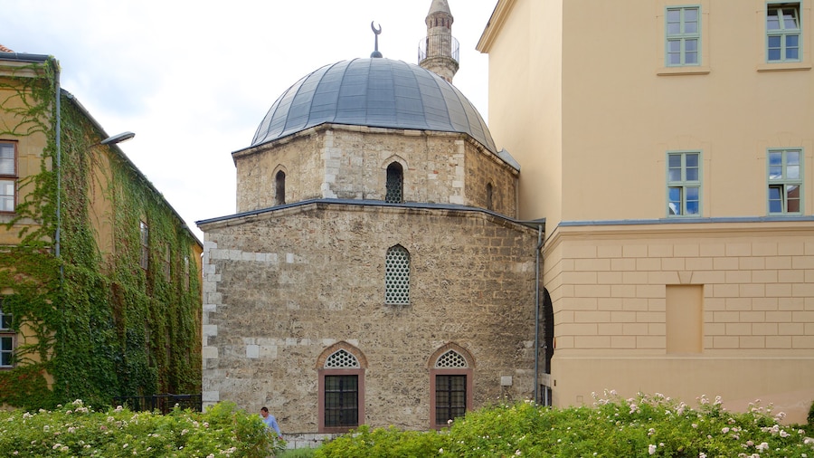 Pecs showing a mosque