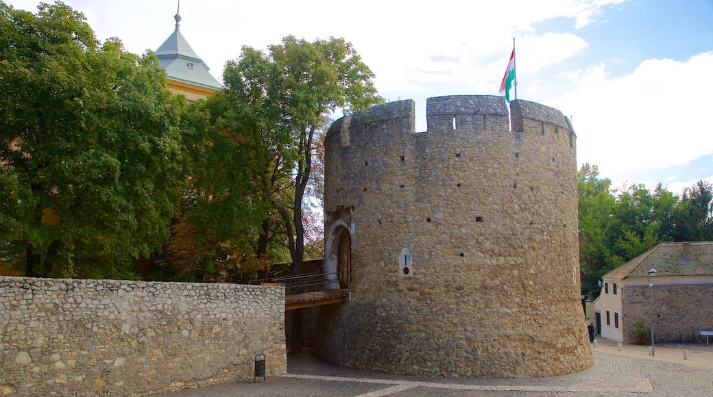 Pécs das einen Moschee und Geschichtliches