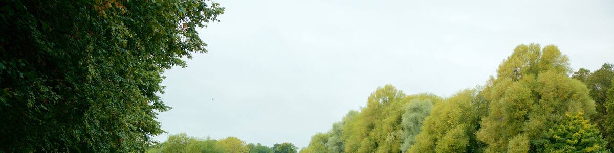 Chester welches beinhaltet Fluss oder Bach und Park