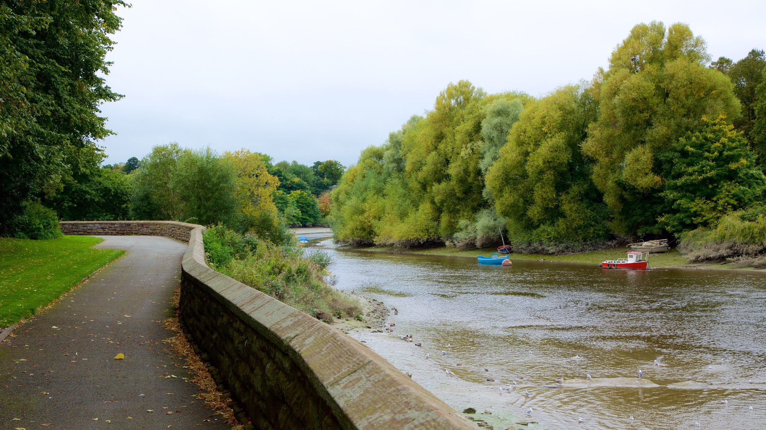 Chester featuring a park and a river or creek