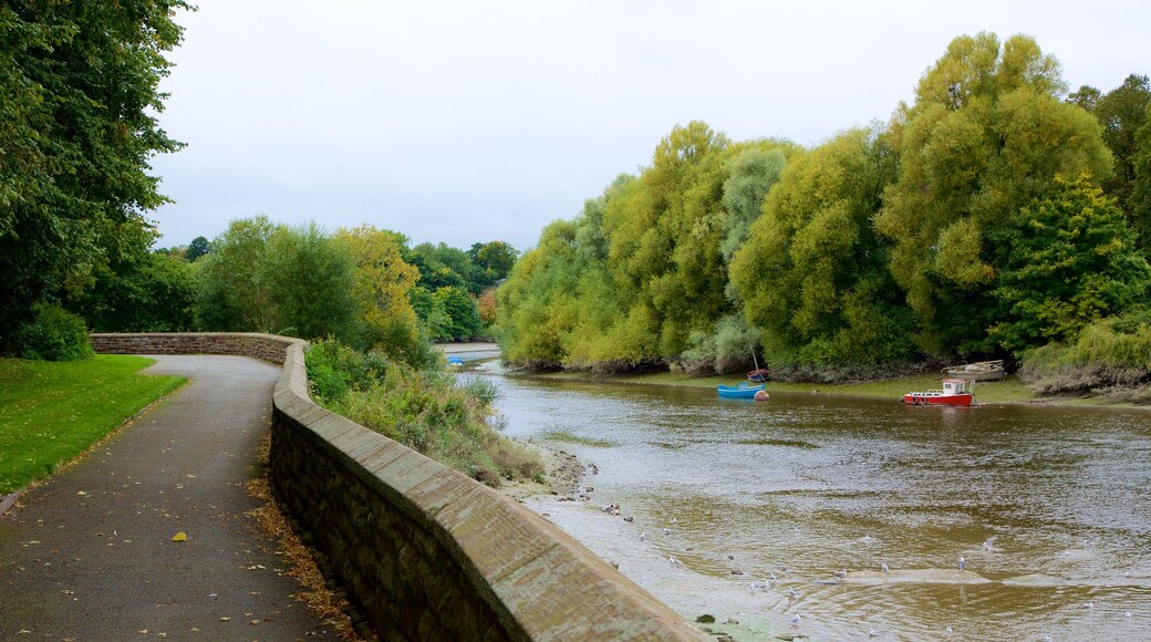 Chester inclusief een rivier of beek en een park