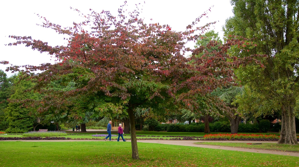 Grosvenor Park som omfatter en have