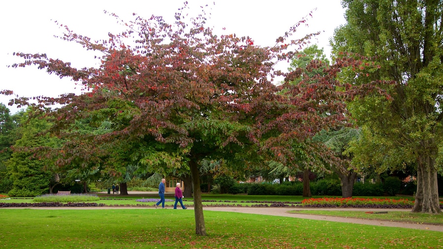 Grosvenor Park cho thấy khu vườn