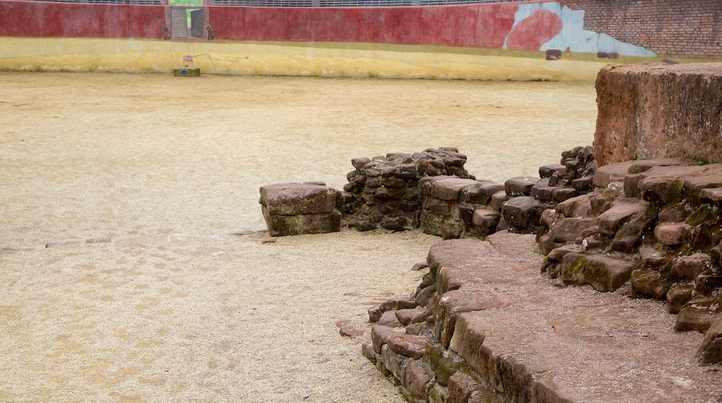 Romeins amfitheater bevat vervallen gebouwen en historisch erfgoed