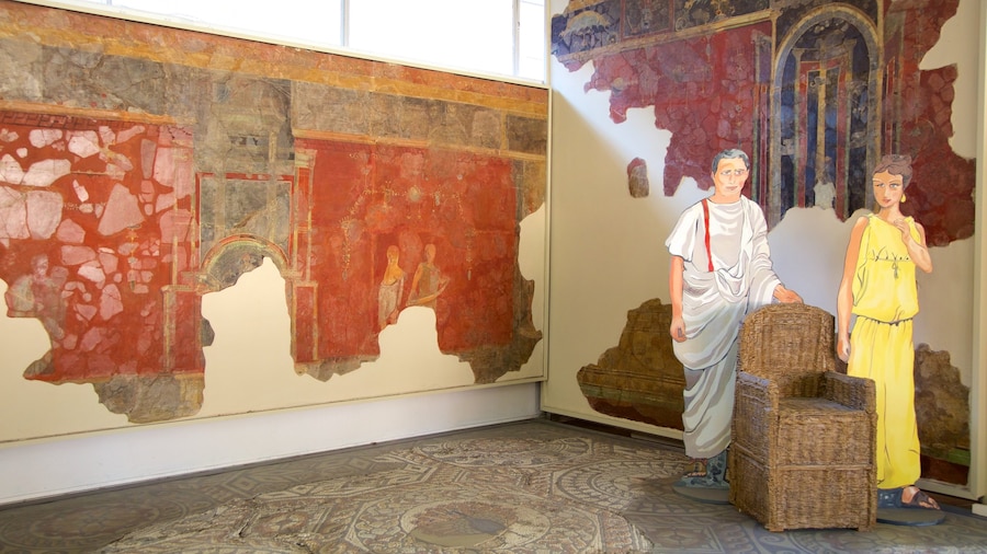 Jewry Wall which includes interior views