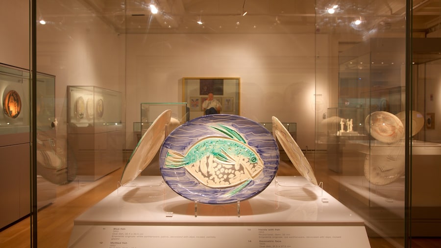 New Walk Museum og byder på interiør