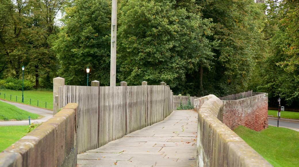 Chester City Walls featuring heritage elements