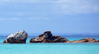 Naturaliste showing rocky coastline