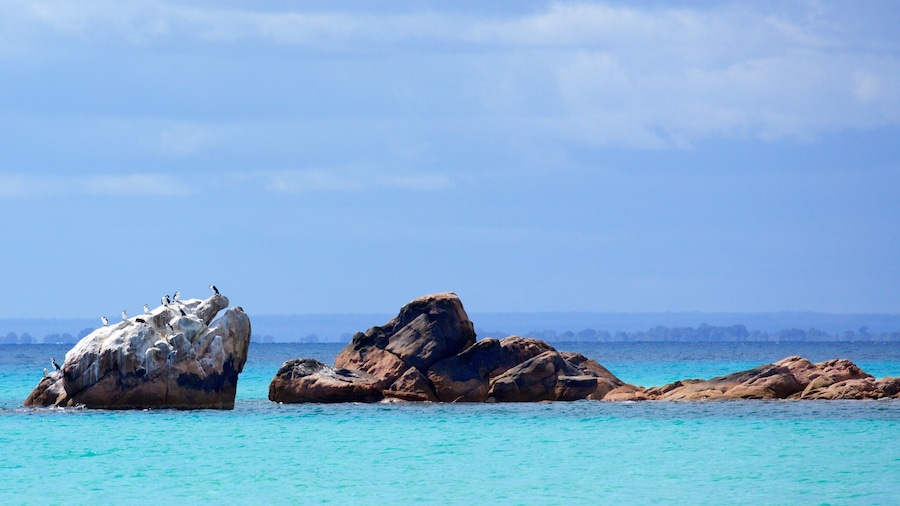 Naturaliste showing rugged coastline