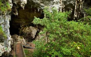 マンモス ケーブ ボラナップ エクスペディア マンモス ケーブ ボラナップ エクスペディア
