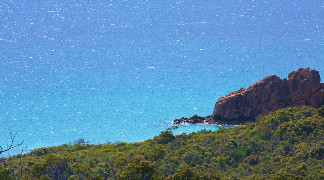 Naturaliste mettant en vedette côte rocheuse