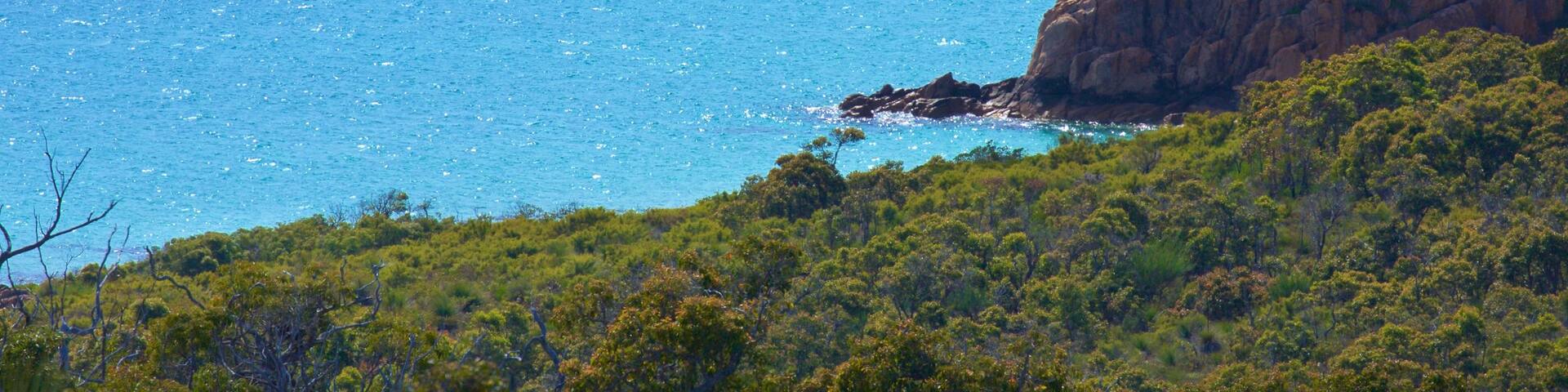 Naturaliste featuring rocky coastline