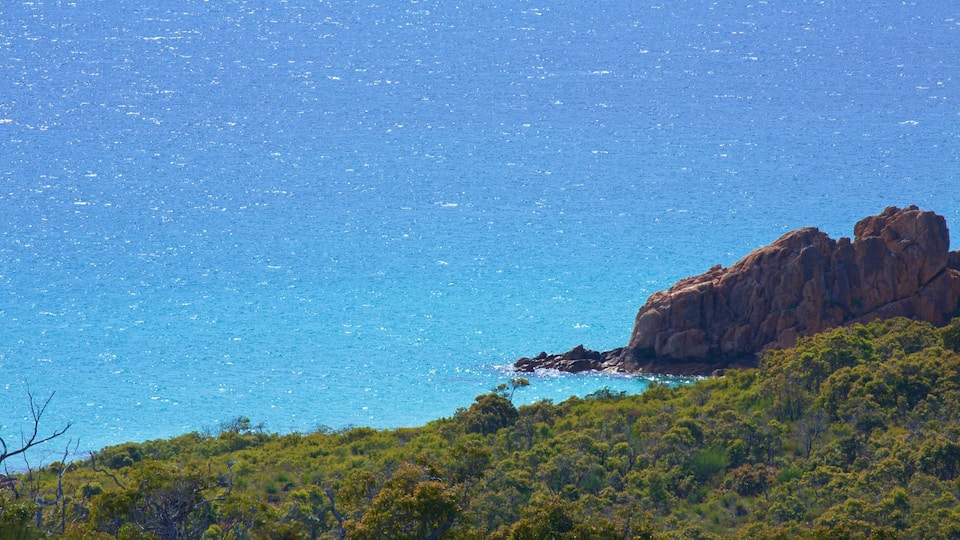 Naturaliste featuring rocky coastline