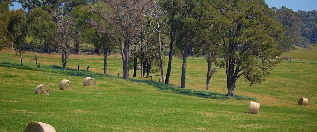 Western Australia featuring farmland