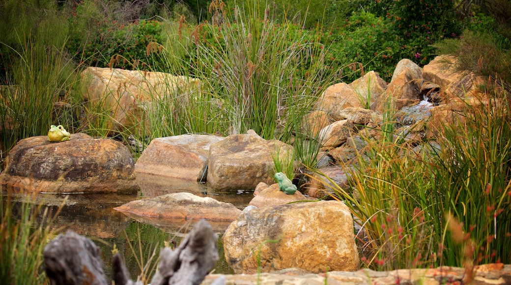 Parque de aventuras Amaze\'n Margaret River mostrando flores silvestres y un río o arroyo