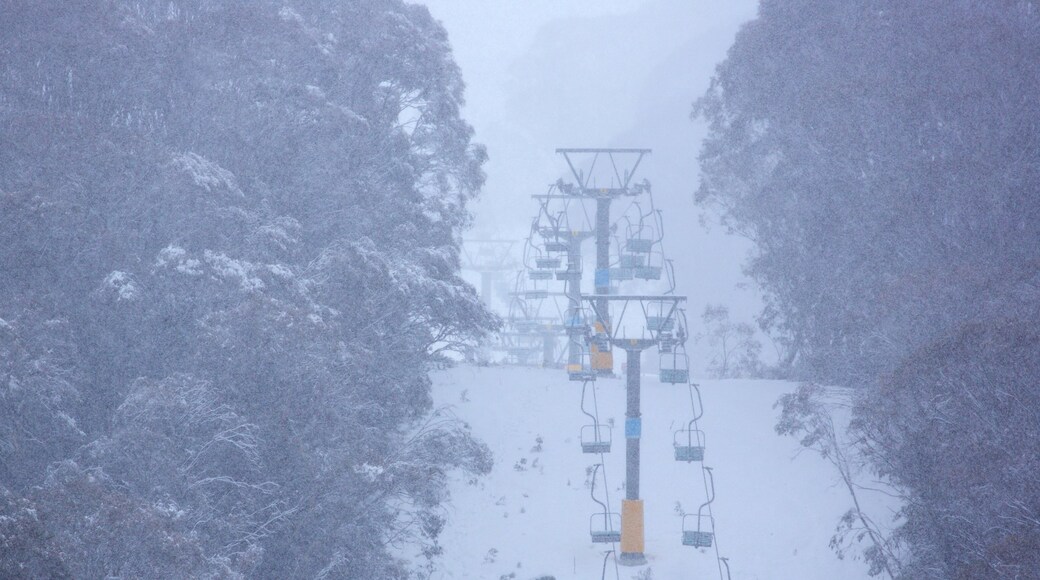 Thredbo which includes snow, a gondola and mist or fog