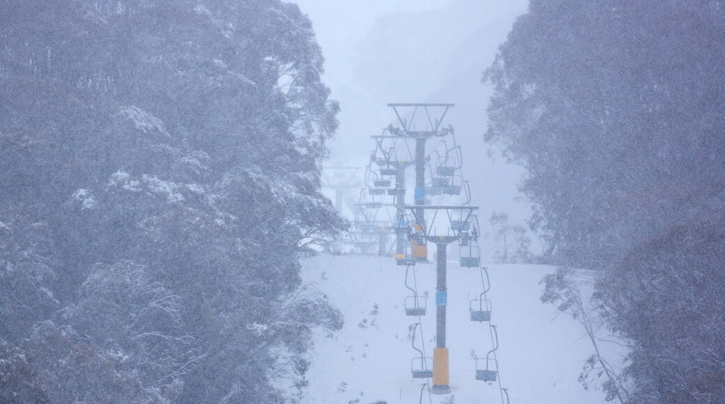 Thredbo showing snow, a gondola and mist or fog