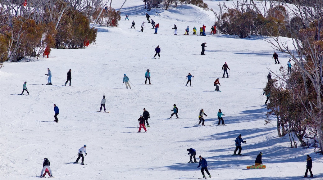 Thredbo which includes mountains, snow and snow skiing