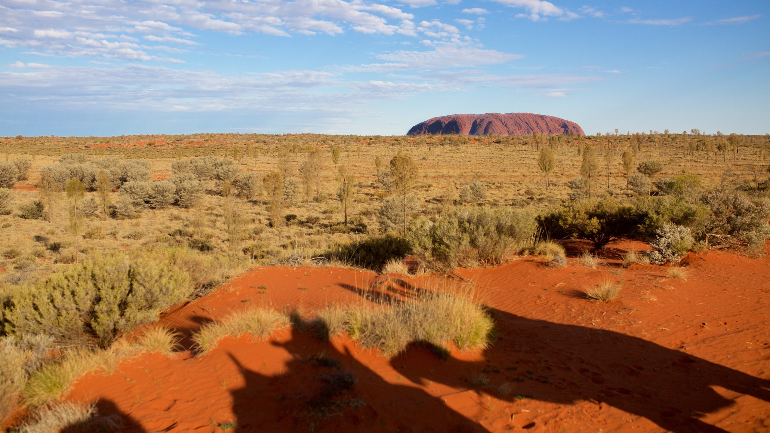 ウルル カタ ジュタ国立公園 ピーターマン旅行 エクスペディア