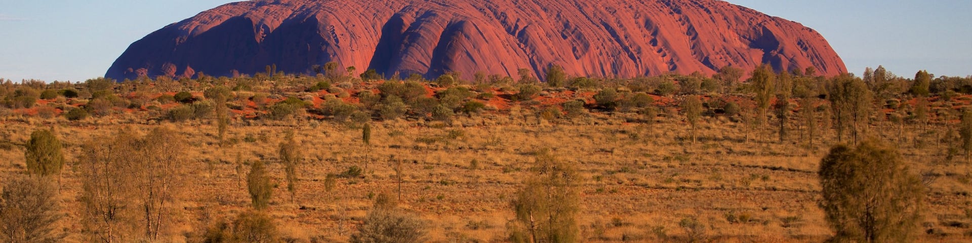 Uluru showing desert views and landscape views