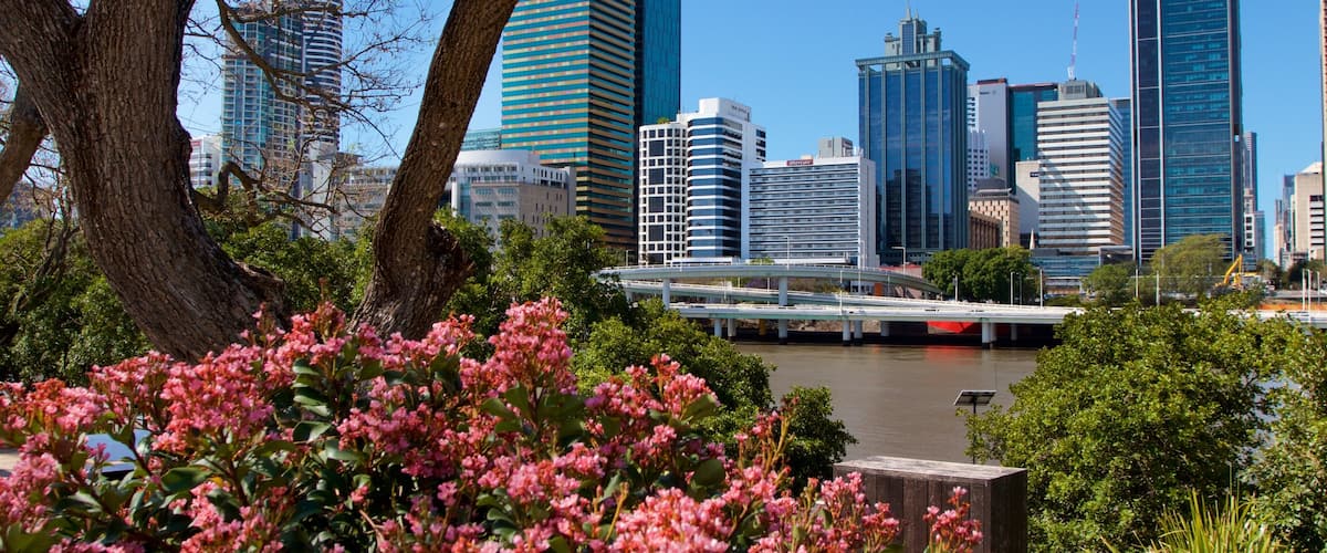 South Bank which includes flowers, a city and a river or creek