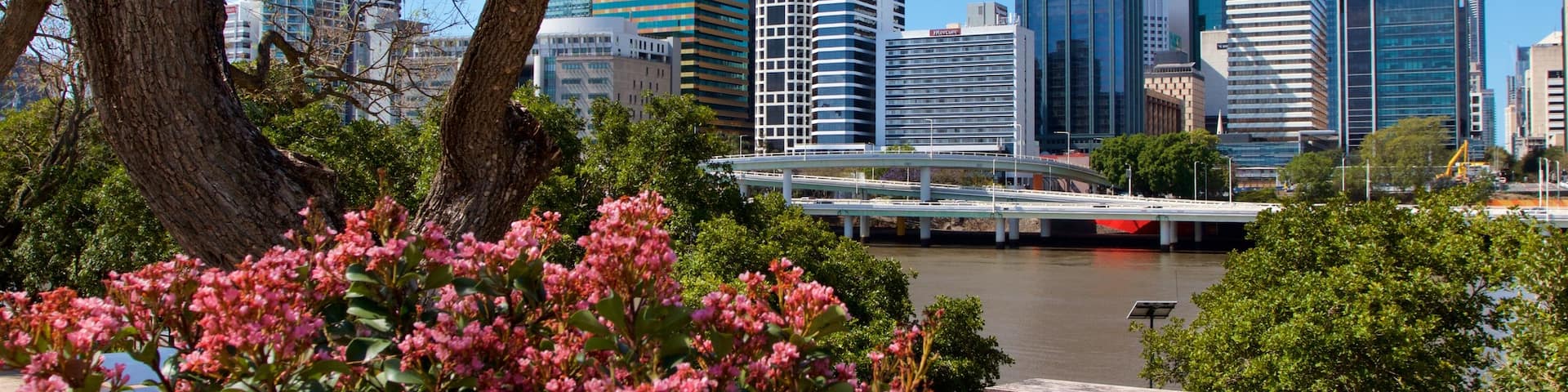 South Bank which includes a river or creek, flowers and a city
