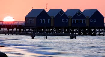Busselton Jetty featuring a sunset and general coastal views