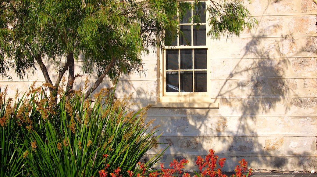 Busselton mostrando flores y una casa