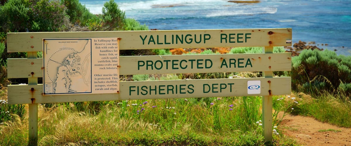 Yallingup montrant signalisation et côte escarpée