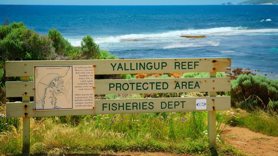 Yallingup featuring rocky coastline and signage