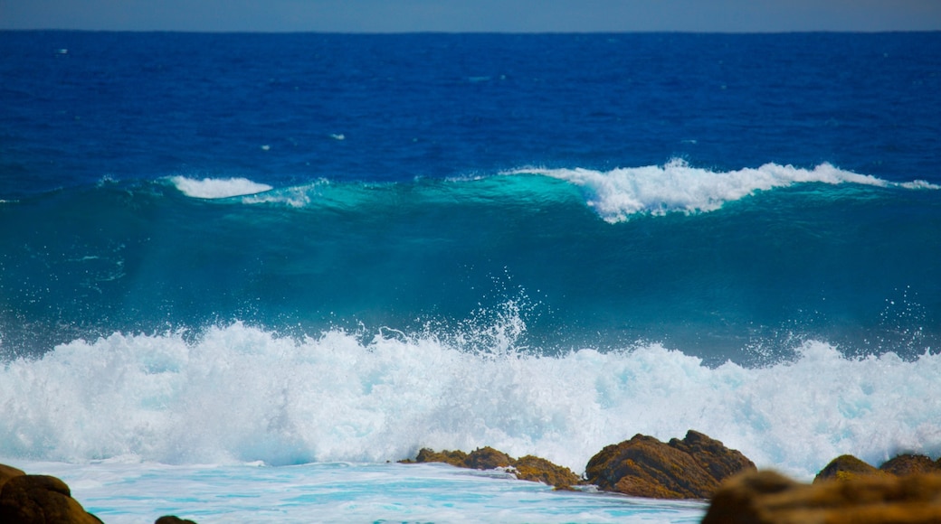 Yallingup featuring waves and rocky coastline