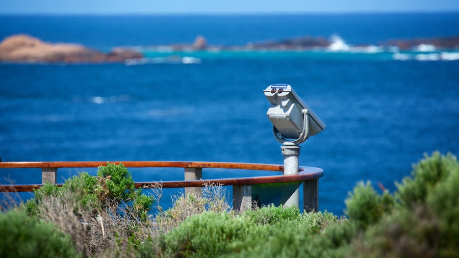 Cape Leeuwin Lighthouse which includes views and general coastal views