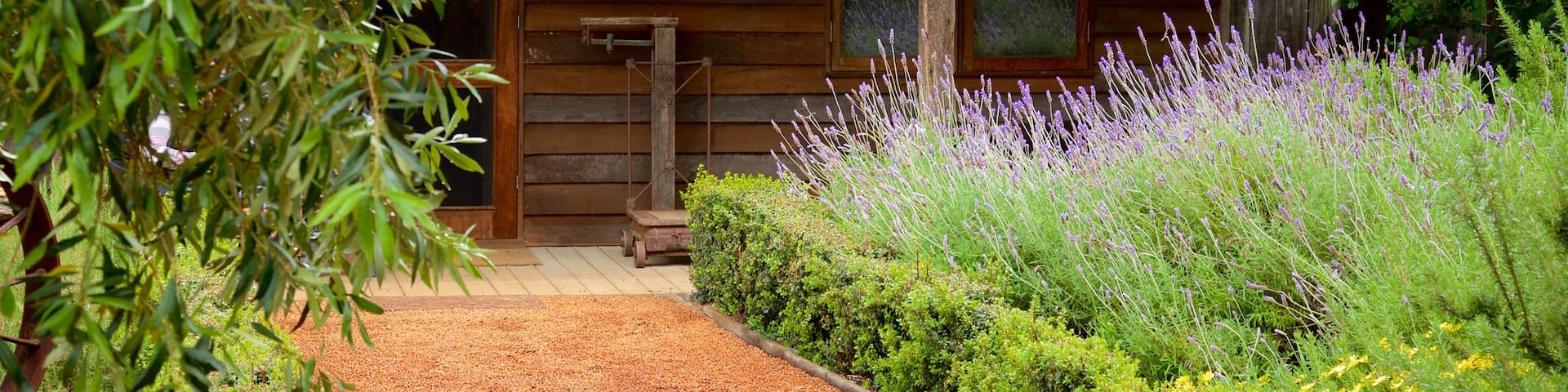 Naturaliste showing a garden, a house and flowers