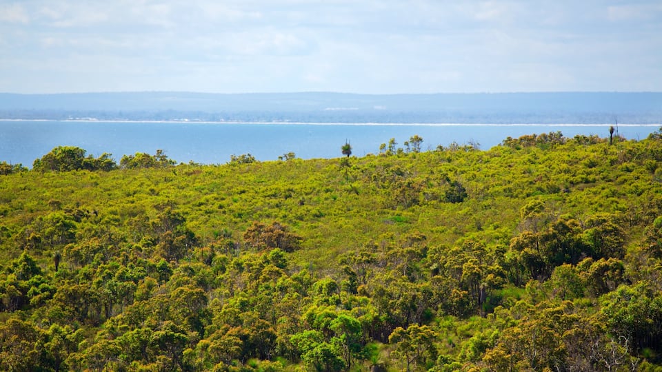 Naturaliste featuring general coastal views