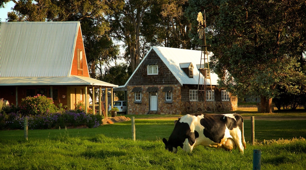 Cowaramup