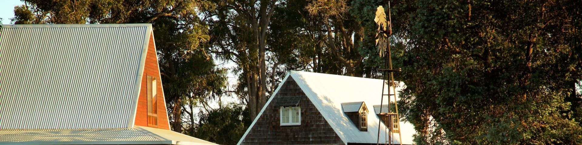 Cowaramup featuring farmland and animals