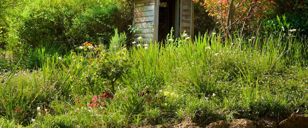 The Berry Farm which includes a park and flowers