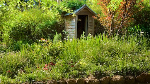 The Berry Farm which includes a park and flowers