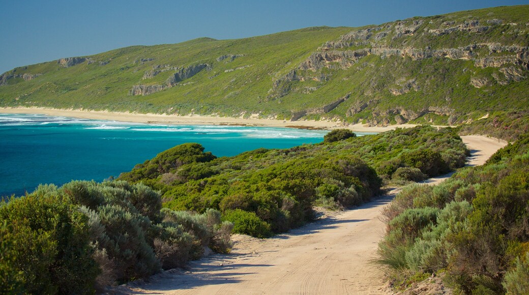 Conto Beach which includes mountains and a sandy beach