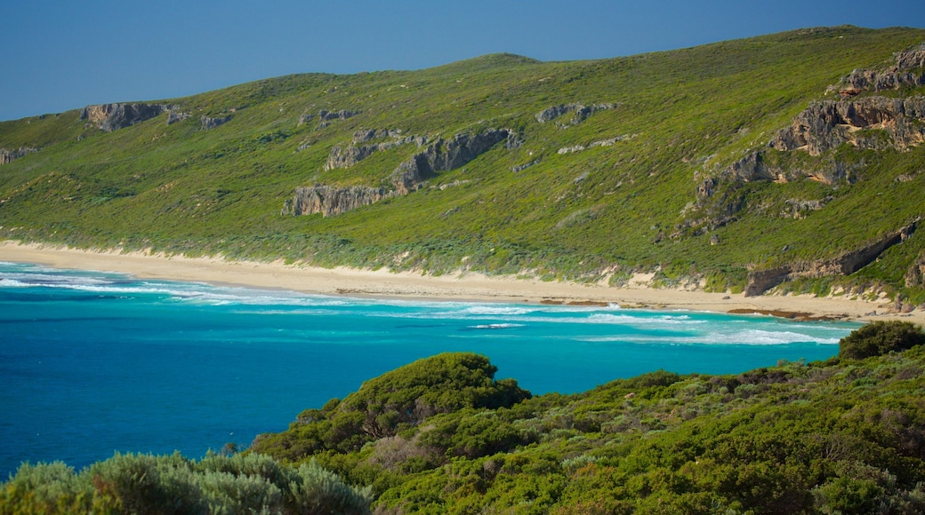 Plage de Conto montrant plage et montagnes