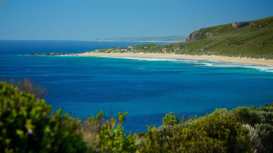 Conto Beach which includes mountains and a sandy beach