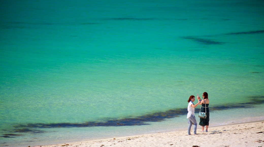 Karridale featuring a beach as well as a small group of people