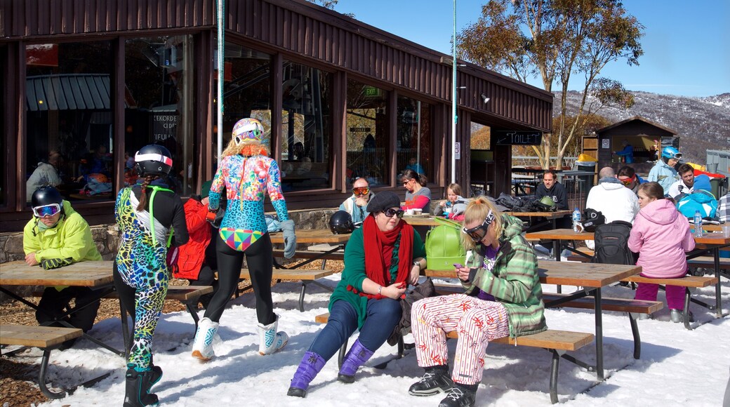 Thredbo showing snow as well as a large group of people