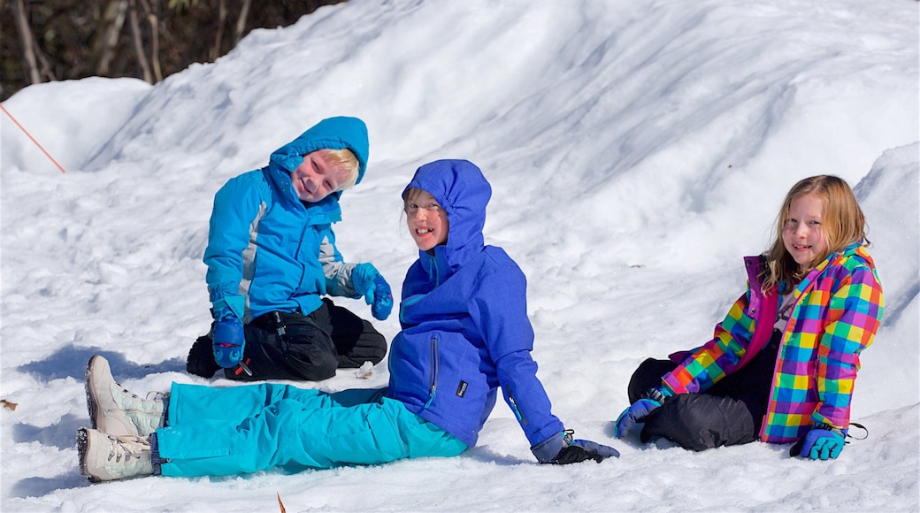 Thredbo toont sneeuw en ook kinderen