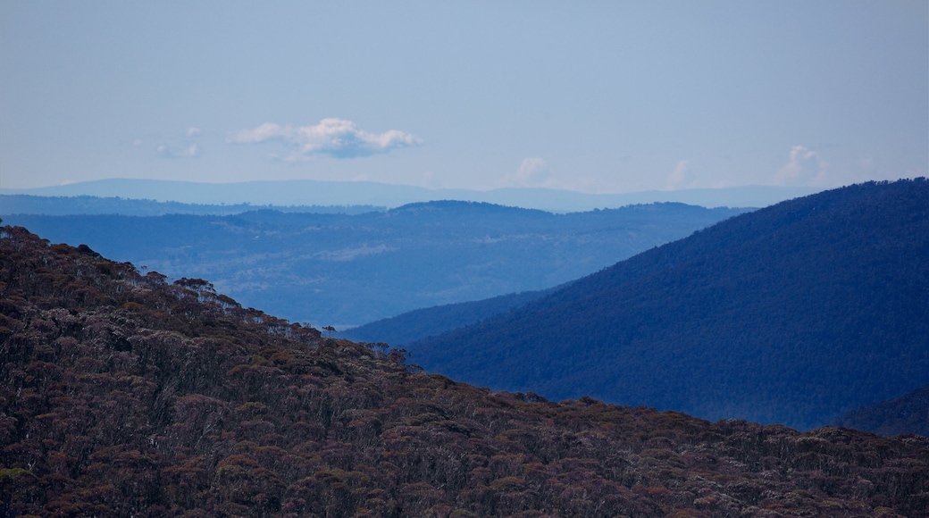 Thredbo mostrando montagna