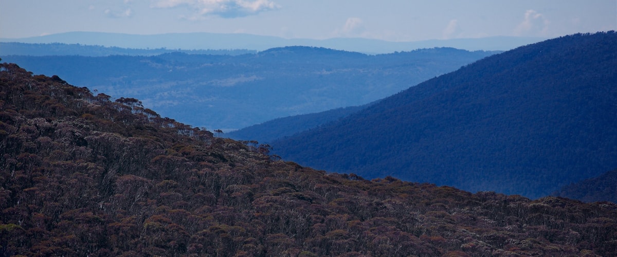 Thredbo featuring mountains