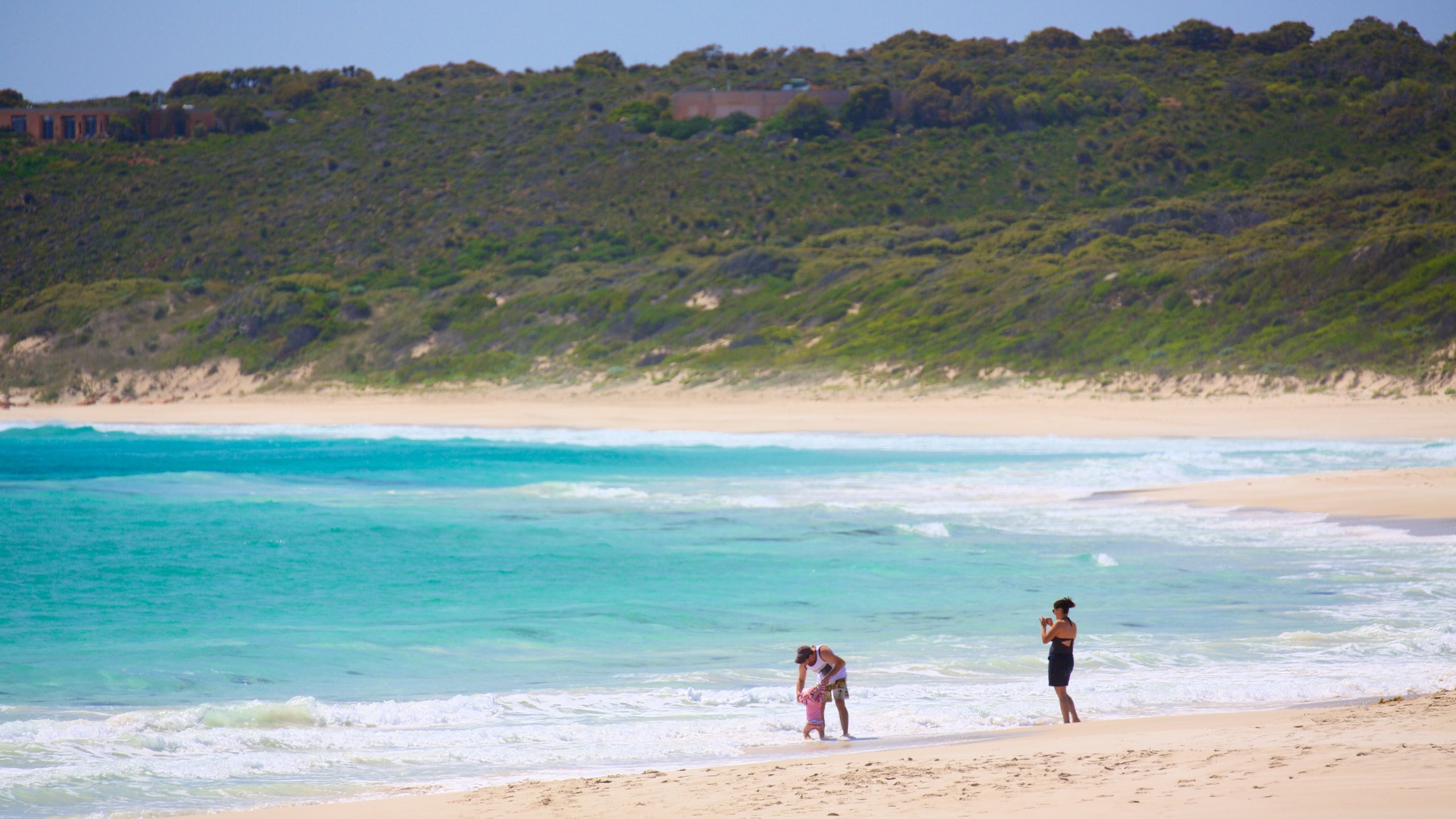 Bunker Bay showing a bay or harbour and a sandy beach as well as a family